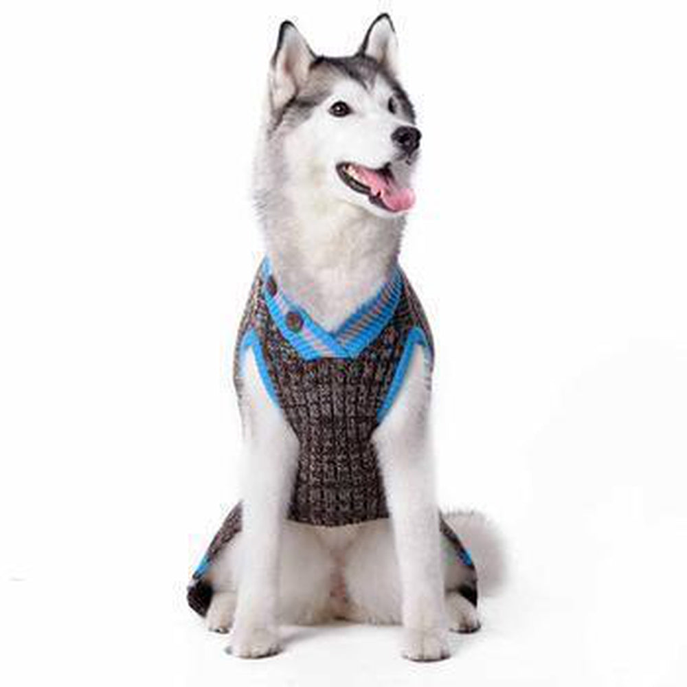 City V-Neck Dog Sweater - Brown with Blue Trim by Dogo