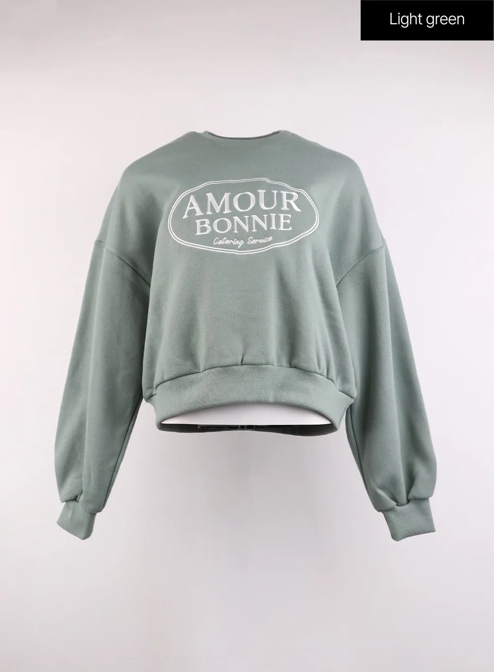 Casual Crew Neck Sweatshirt with Lettering Print - Style OJ424