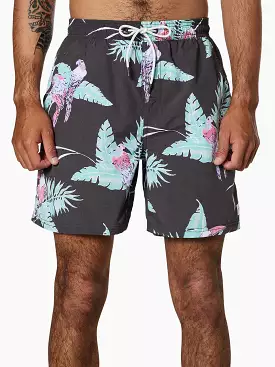 Paradise Volley Boardshort - Google SEO Result: Paradise Beach Volley Shorts