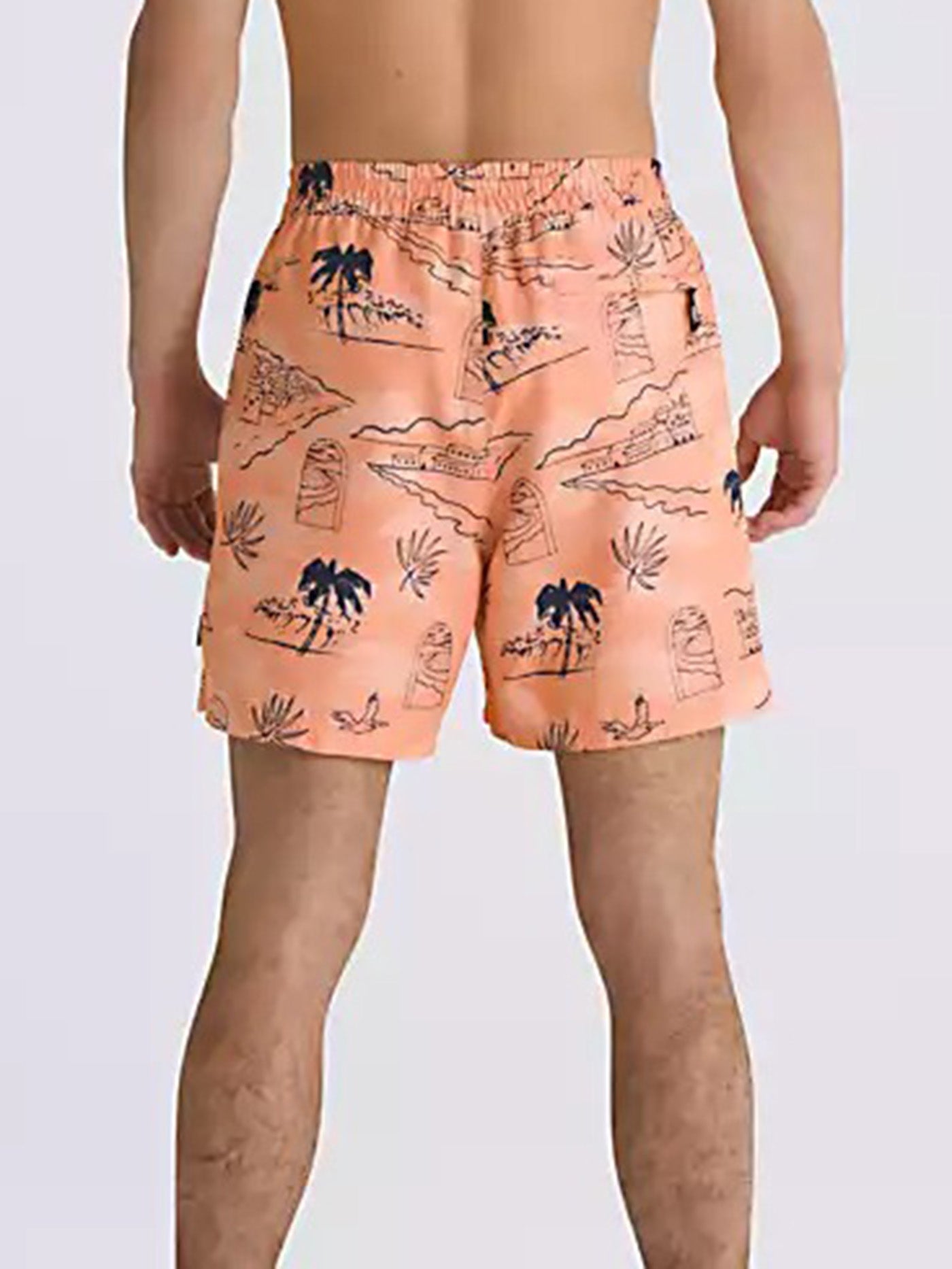 Primary Print Boardshorts