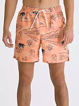 Primary Print Boardshorts