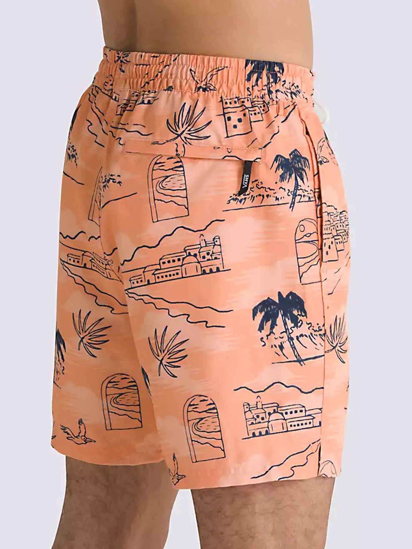 Primary Print Boardshorts