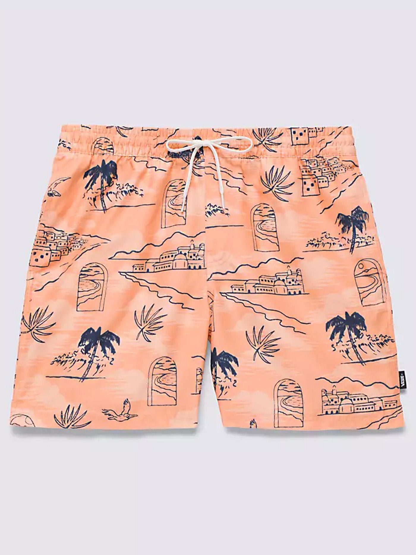 Primary Print Boardshorts