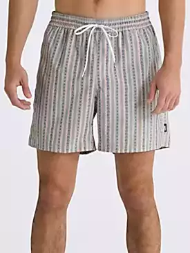 Primary Stripe Elastic Swim Trunks