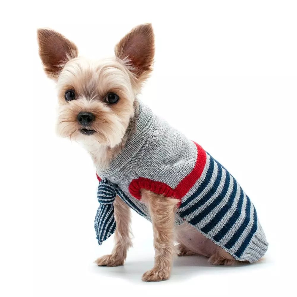 Stylish preppy sweater with necktie design